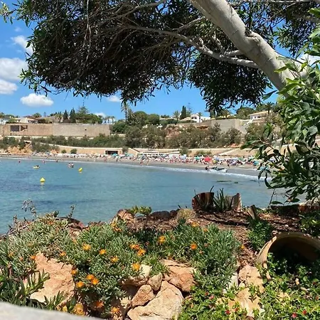 公寓 Luxury Penthouse Oasis Viii Orihuela Punta Prima *